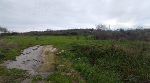 Foto 4 de Residencial en venda a Paraje Dehesa de Los Caballos, S/n, -1, Miralvalle - Av. Virgen del Puerto - La Data, Plasencia