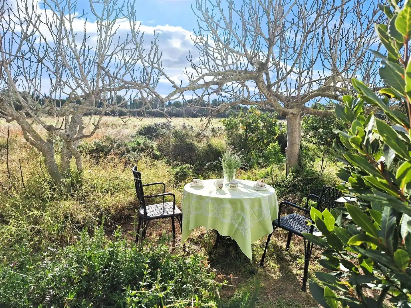 Villa à vendre à Polígono 5 96, imagen 2