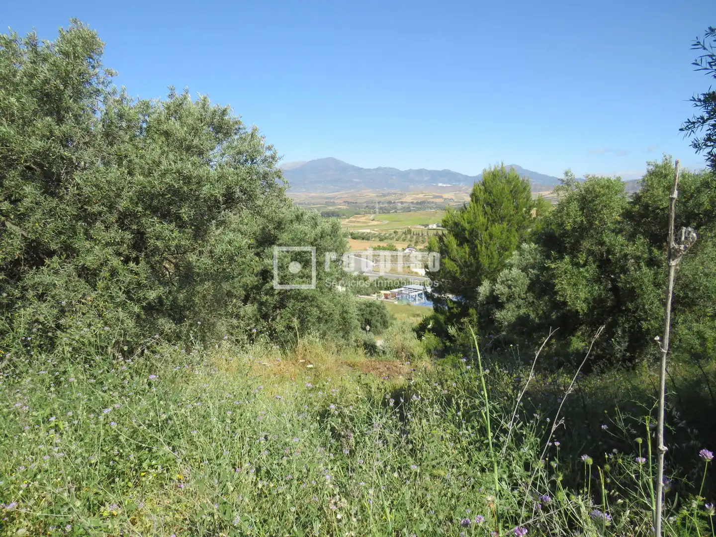 Terreno residenziale in vendita a el Burgo, imagen 3
