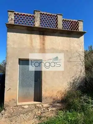 Terreny rústic en venda a Llanera de Ranes, imagen 6
