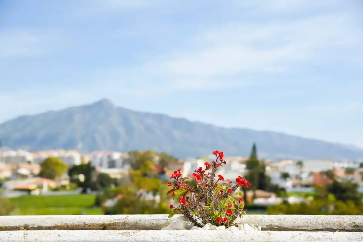 Exterior view of Duplexes for rent in Marbella  with Terrace and Community pool