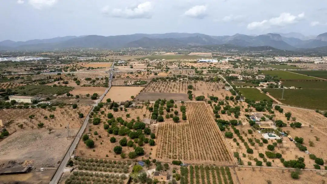 Land for sale in Consell