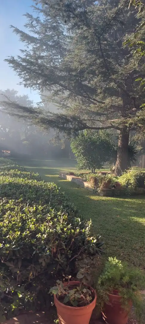 Garden of Houses for sale in Vilanova i la Geltrú