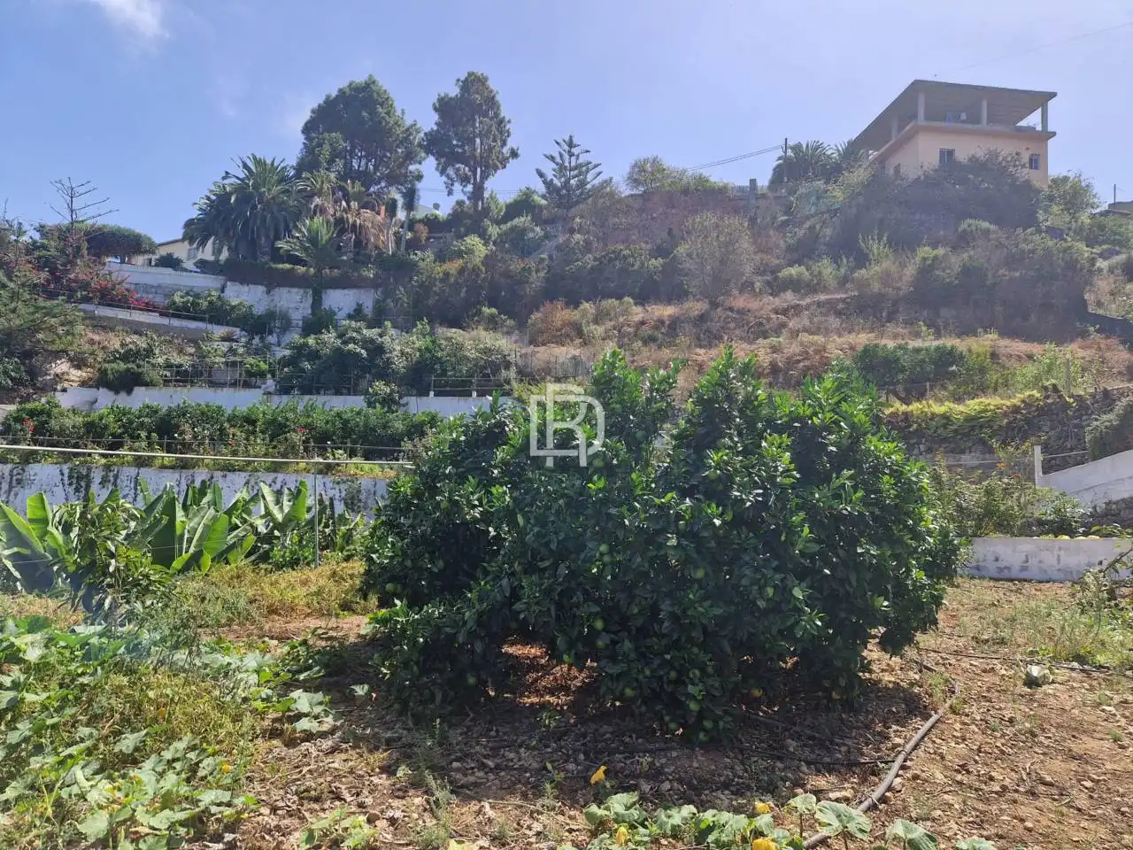 Finca rústica en venta en Icod de los Vinos con Jardín privado y Terraza
