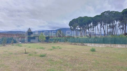 SE VENDE FINCA  RUSTICA, image 3