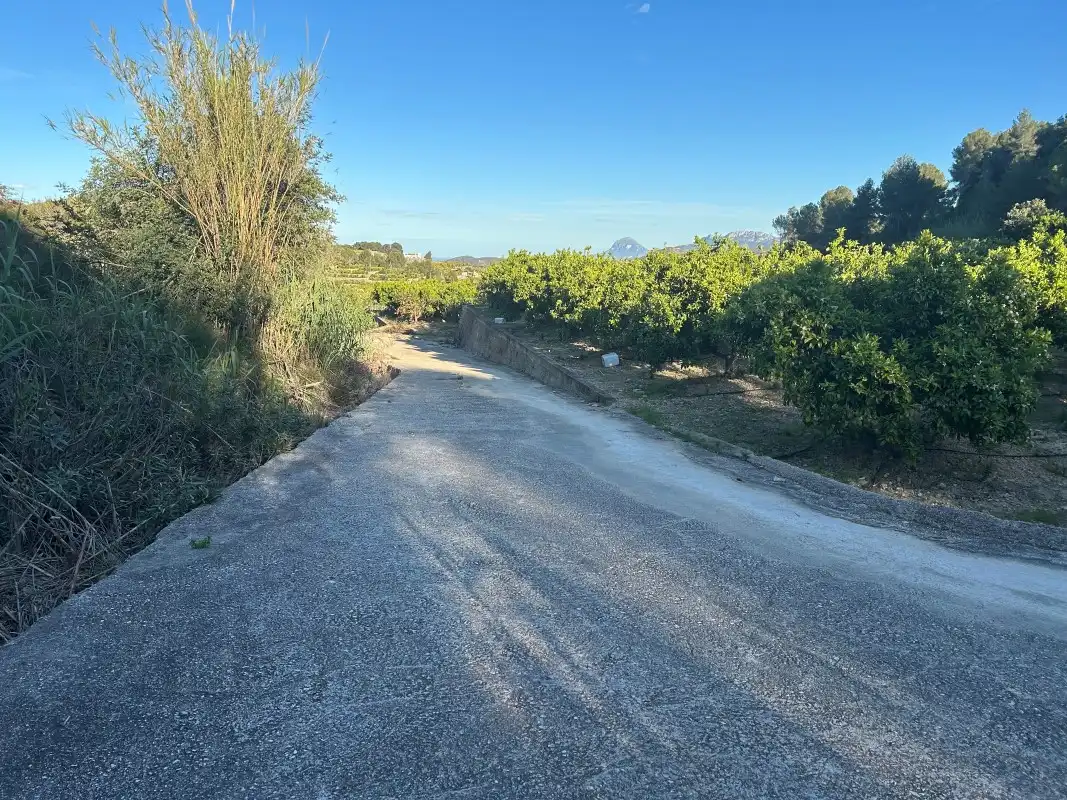 Finca rústica en venda en Oliva amb Moblat