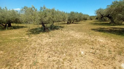 Photo 4 of Houses for sale in Roquetes, Tarragona