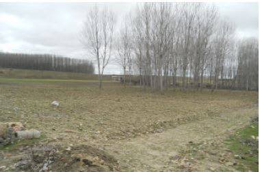 Terreno en Venta en C/ Sitio Nuestra Señora de La Aparecida en Valverde del Majano