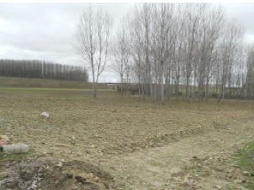 Terreno rustico in vendita a C/ Sitio Nuestra Señora de La Aparecida
