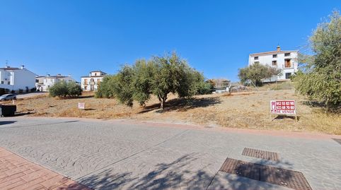 IMF GESTIÓN DE INMUEBLES vende parcelas urbanas en Viñuela, imatge 2