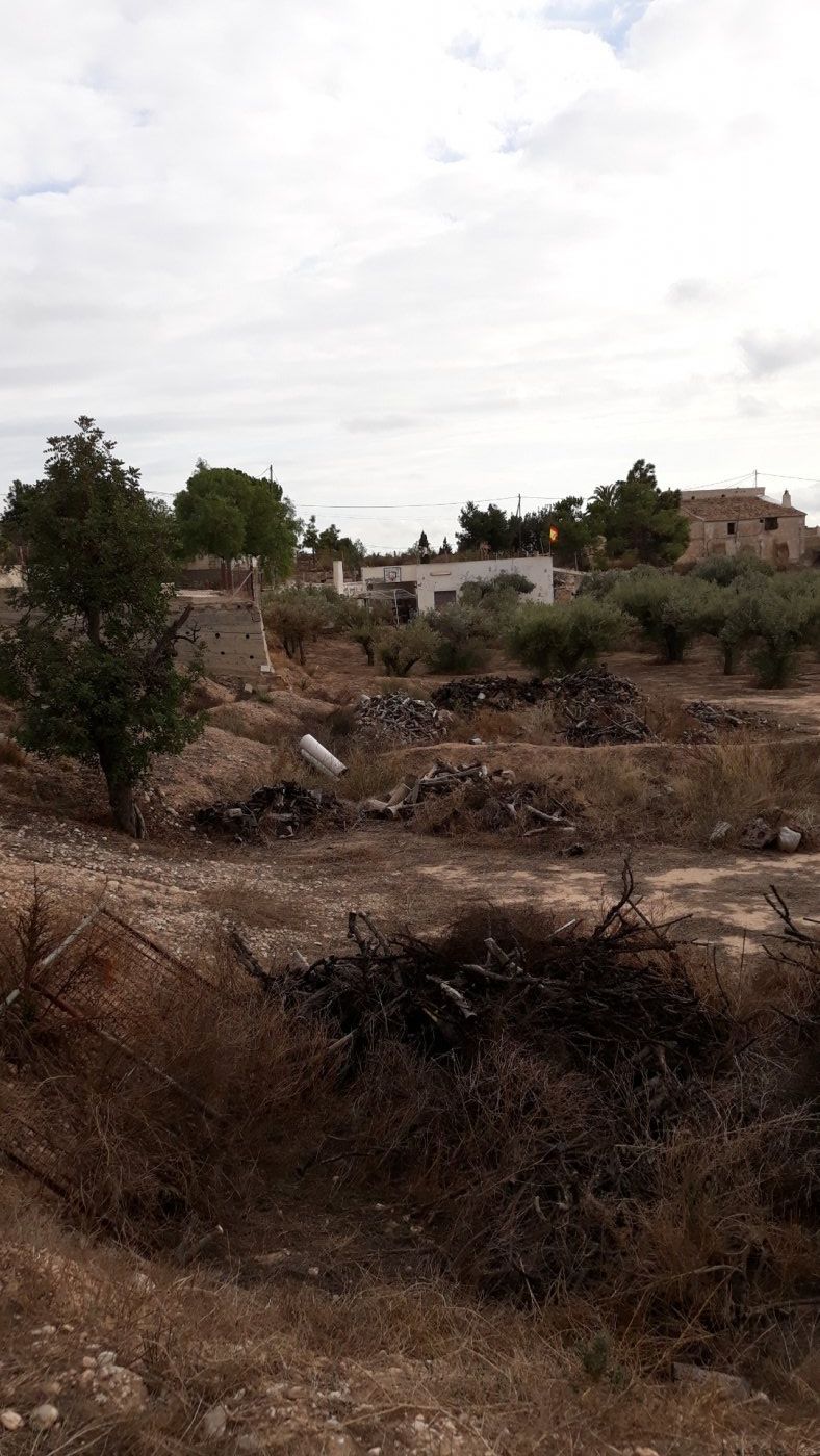 Exterior view of Country house for sale in Alicante / Alacant  with Private garden