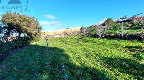 Foto 5 de Finca rústica en venta en El Tanque, Santa Cruz de Tenerife