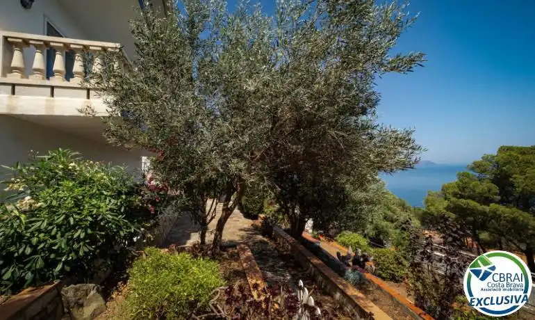 House with garden for sale in Carrer de Santa Isabel, imagen 4