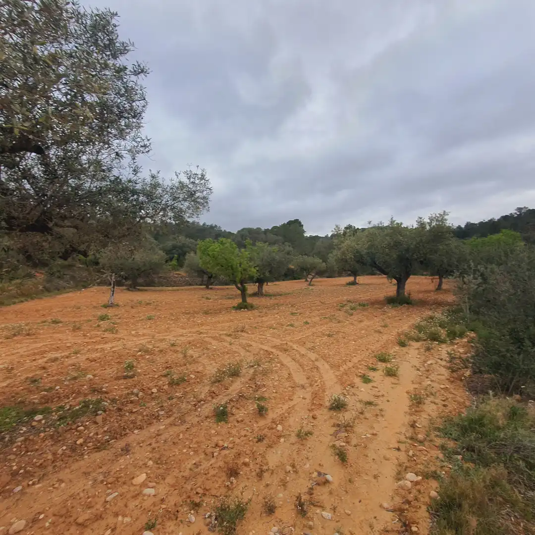 Rustikales Grundstück zum Verkauf in El Pinell de Brai, imagen 6