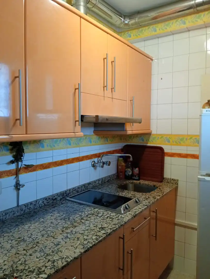 Piso con piscina en venta en Avenida Luis Rocafort 53, imagen 10