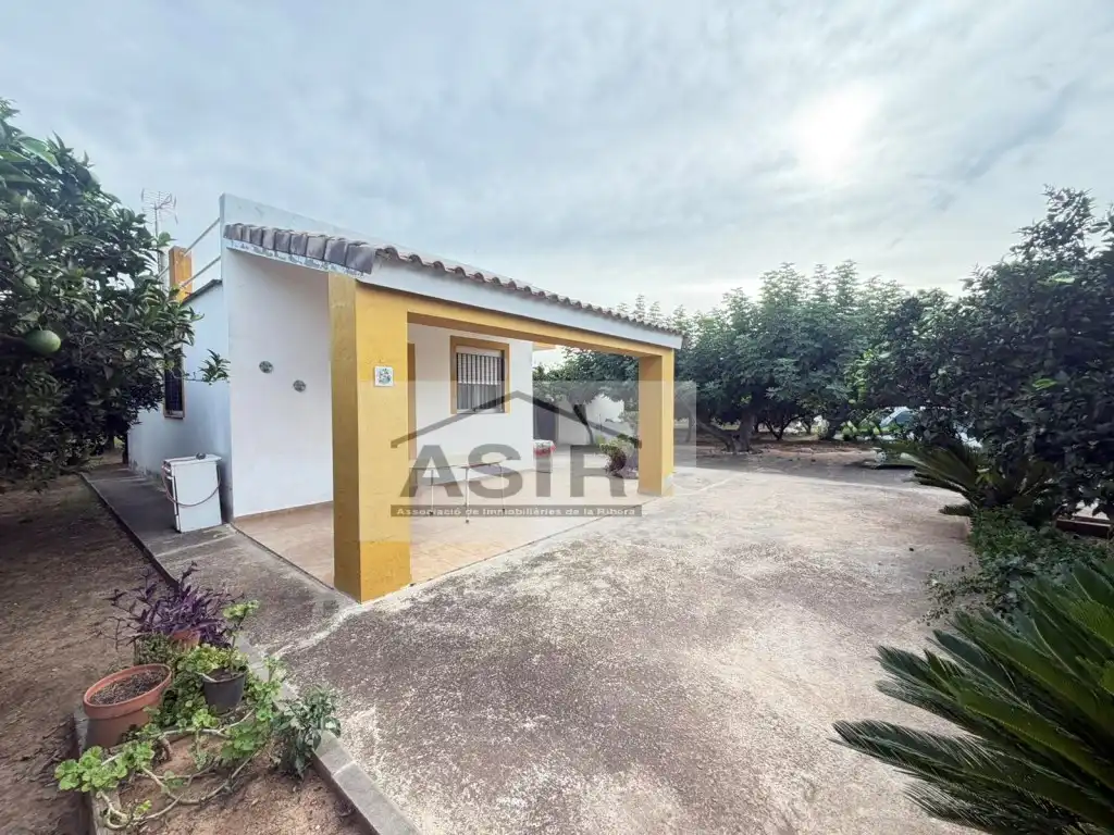 Exterior view of Houses for sale in Benicull de Xúquer
