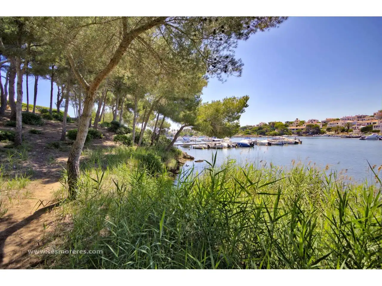 Residential land for sale in Coves Noves, imagen 15
