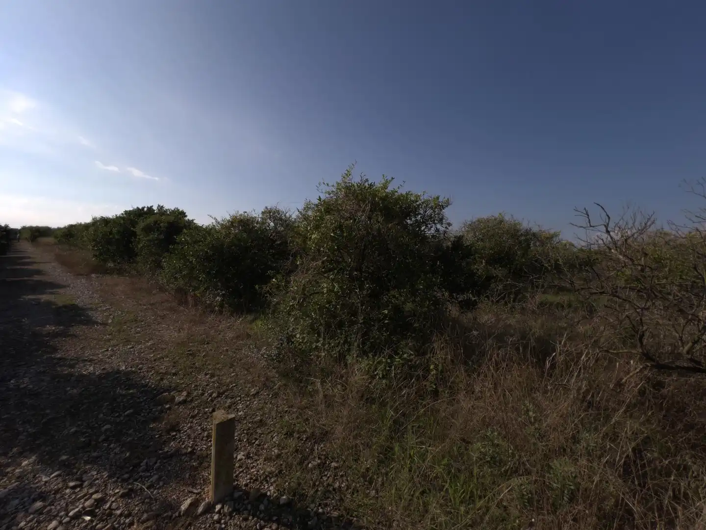 Rural land for sale in Alcanar, imagen 2