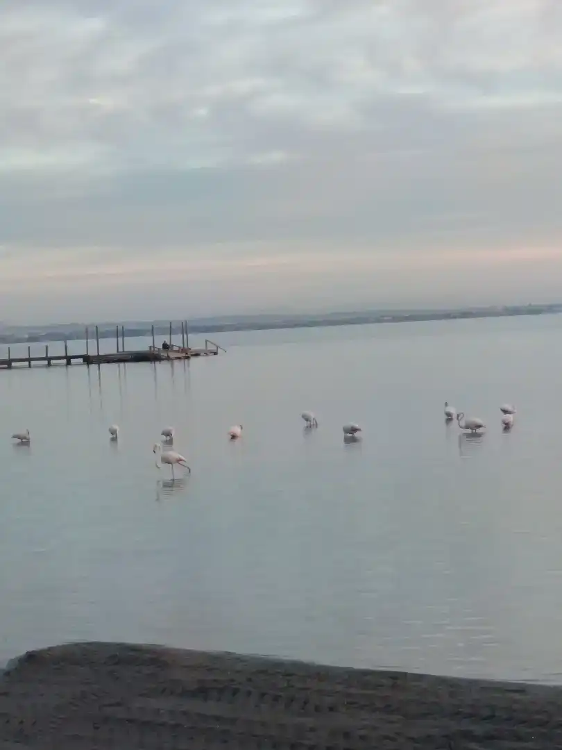 Pis en venda en Cartagena amb Aire condicionat i Balcó