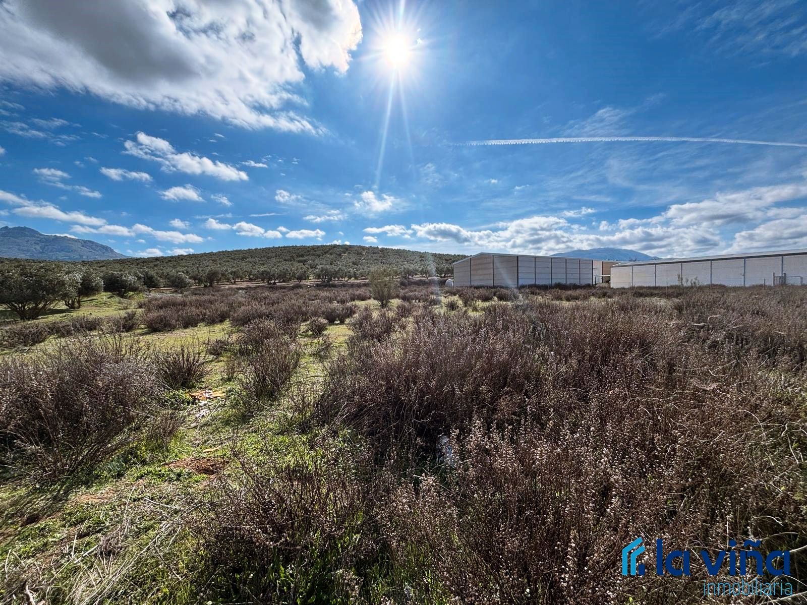 Industrial land for sale in Villanueva del Trabuco