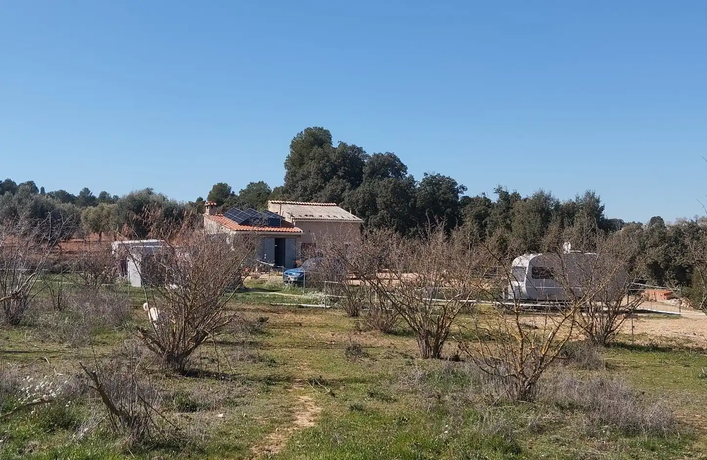 Terreni e lotti in vendita a Cretas