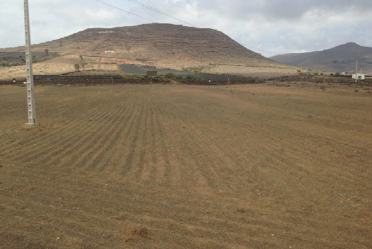 Land for sale in Yaiza
