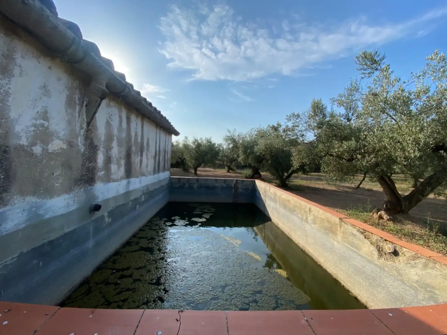 Casa rústica con piscina en venta en Ulldecona, imagen 4