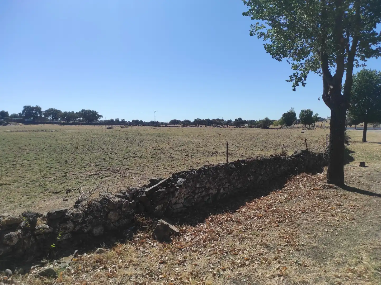 Terreny en venda a Avenida Virgen del Encinar, 1, Ceclavín