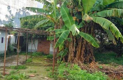 Photo 3 of Single-family semi-detached for sale in A Malata - Catabois - Ciudad Jardín, Ferrol