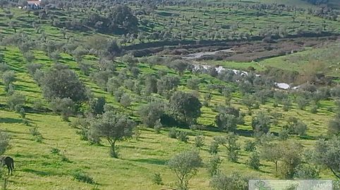 Foto 5 de Finca rústica en venta en Calle Higuera de Vargas, 1, Olivenza, Badajoz