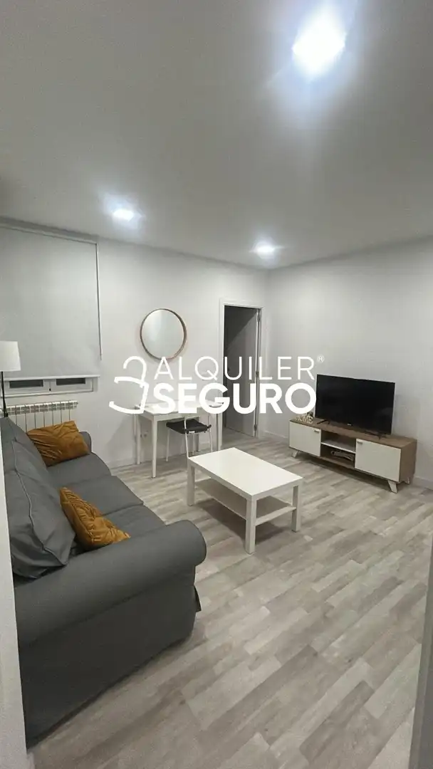 Sala d'estar de Pis de lloguer en Madrid amb Aire condicionat, Calefacció i Moblat