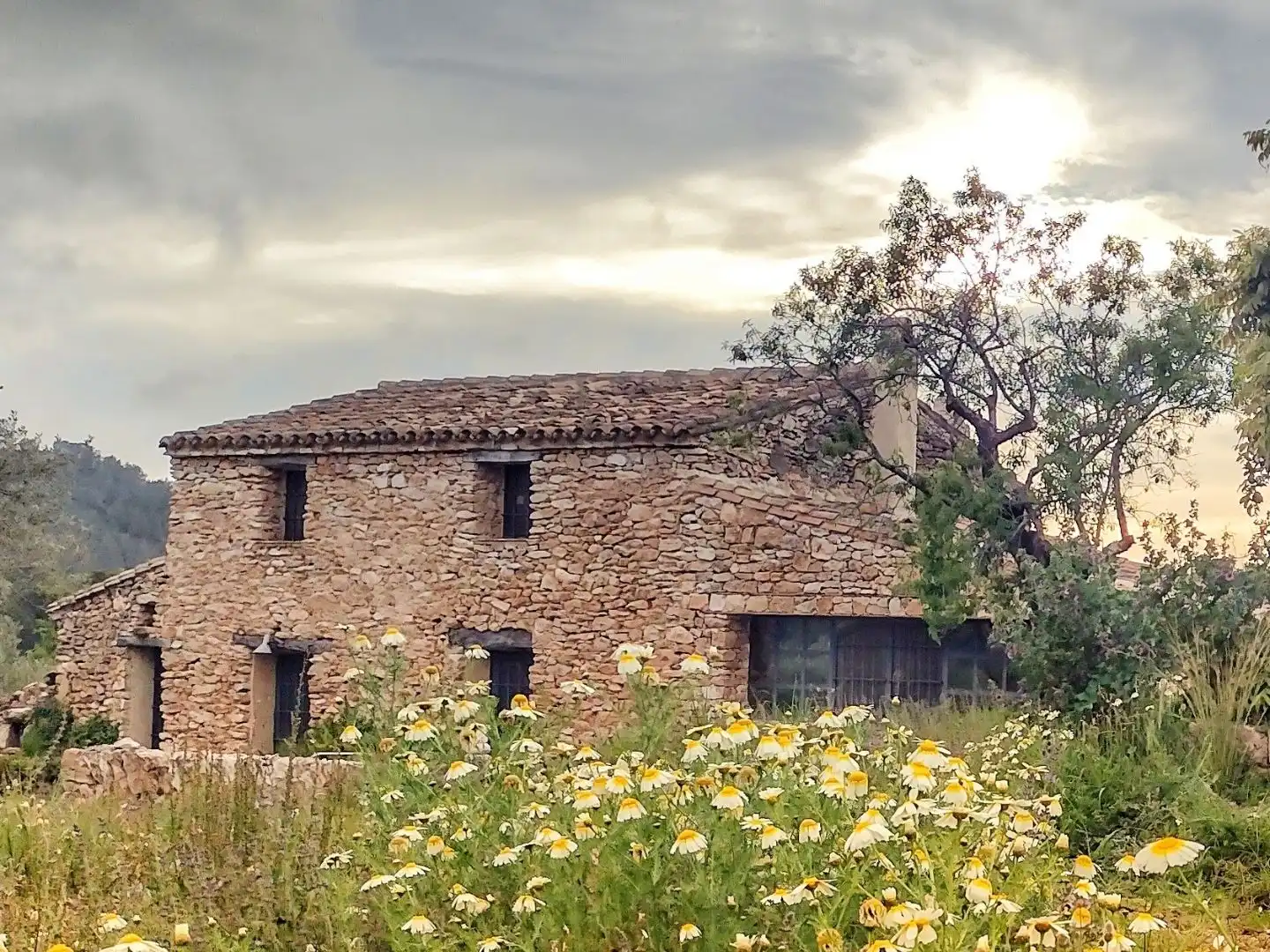 Landhaus mit Garten zum Verkauf in TV-3025 56, imagen 4