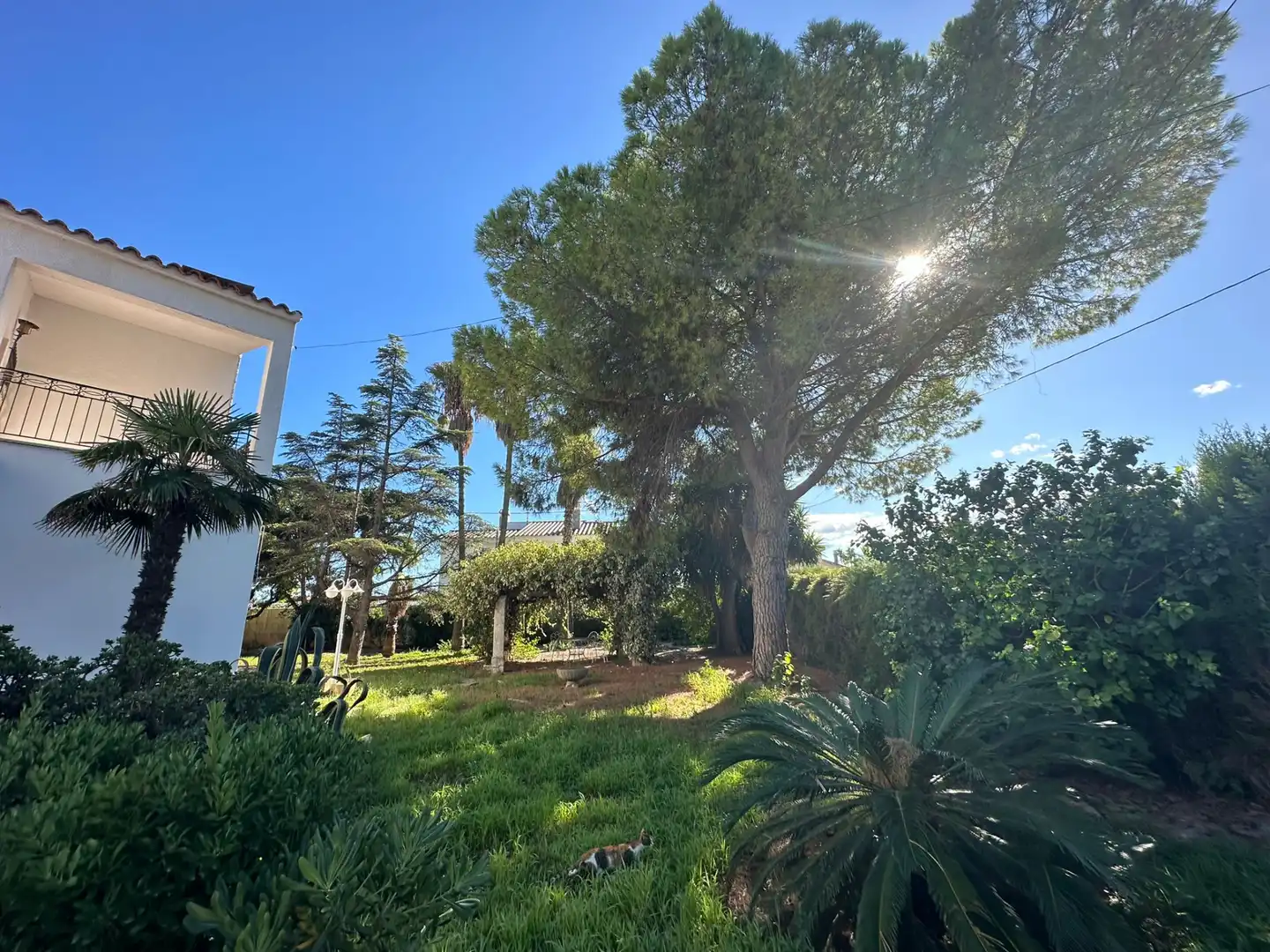 Casa con jardín en venta en Carrer de Plácido Hidalgo Castro, imagen 8