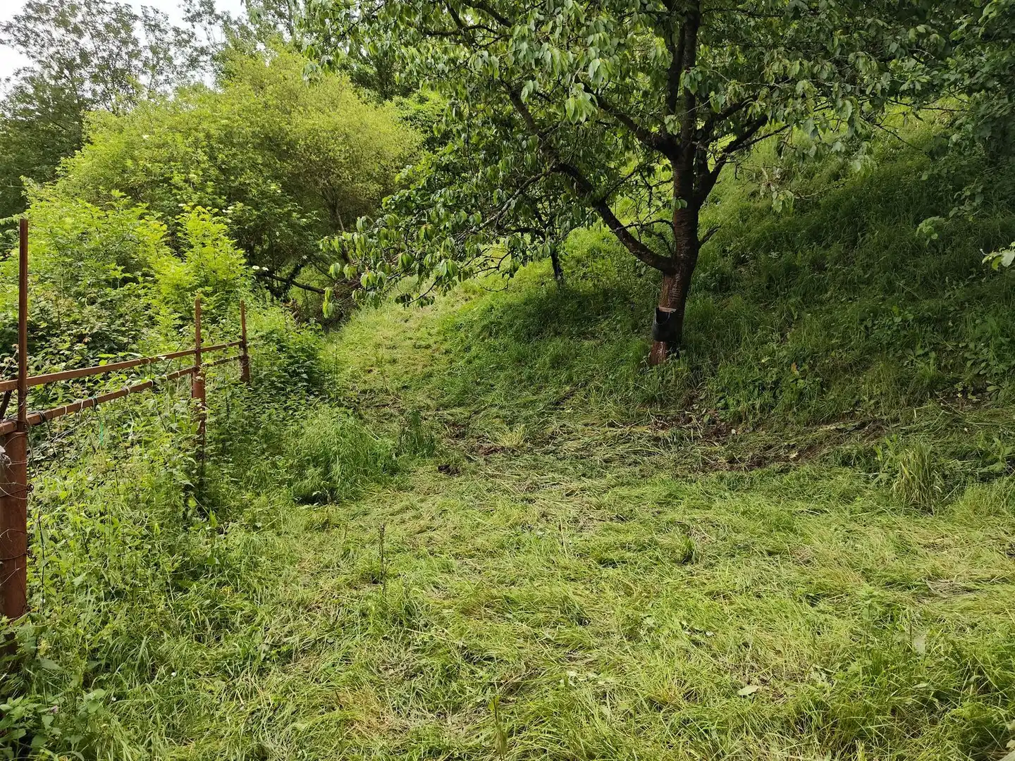Residential for sale in Lena