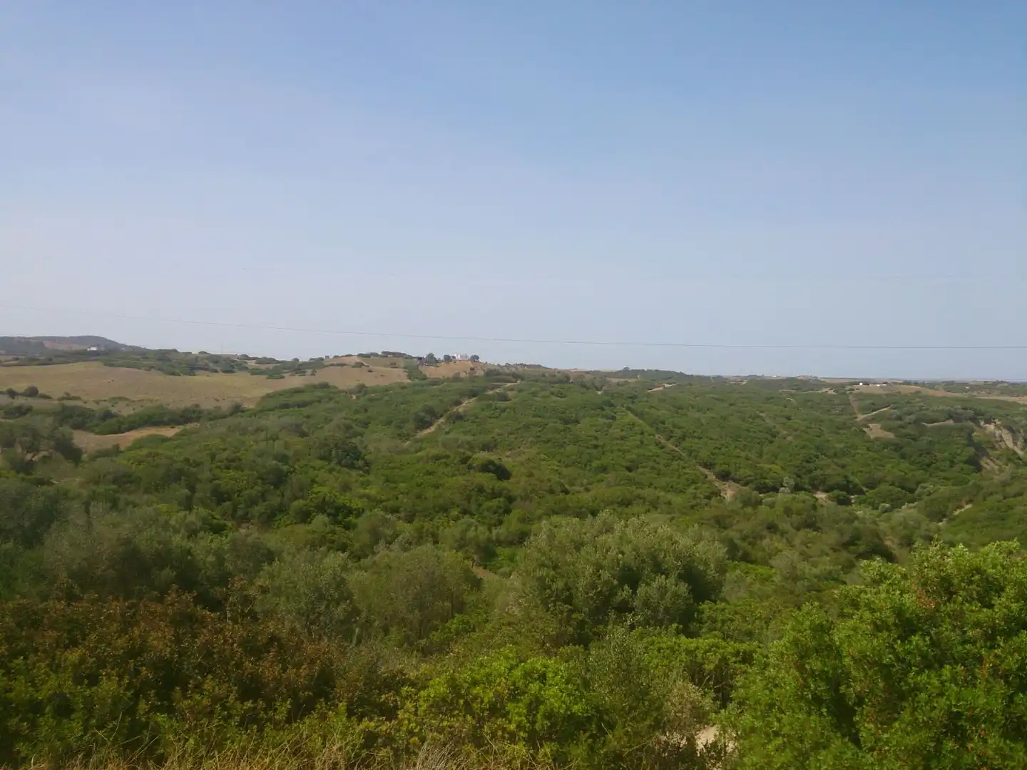 Terreny rústic en venda a Medina Sidonia, imagen 25