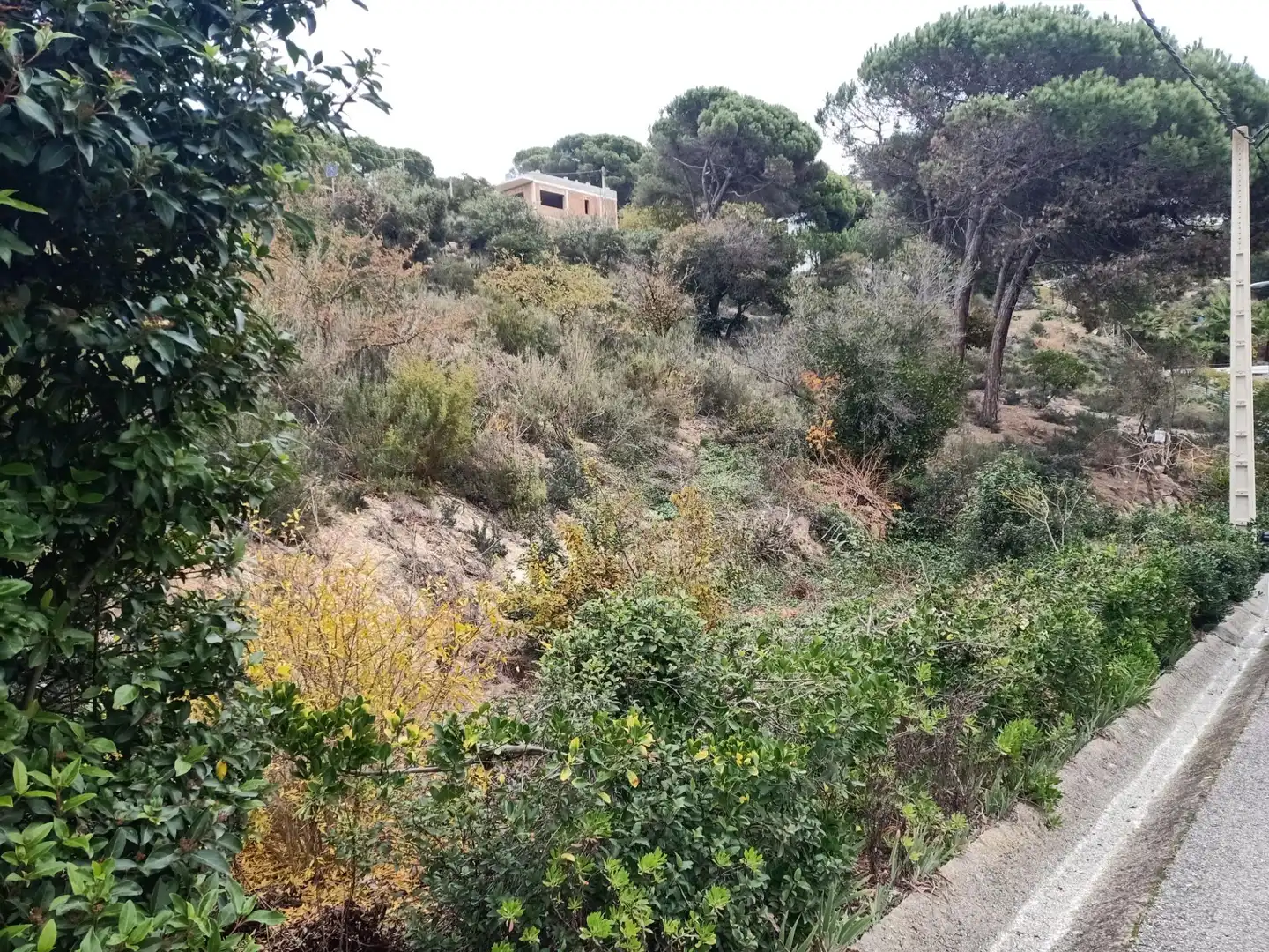 Terrenos y solares en venta en Vilanova del Vallès, imagen 3