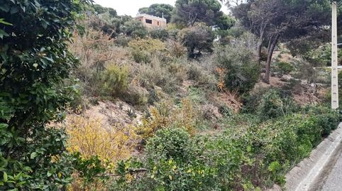 Foto 3 de Residencial en venta en Vilanova del Vallès, Barcelona