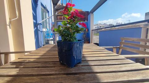 Foto 2 de Pis de lloguer a Els Molins - Pins Vens, Sitges