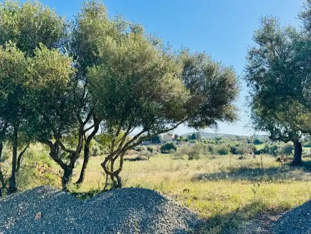Land for sale in Manacor