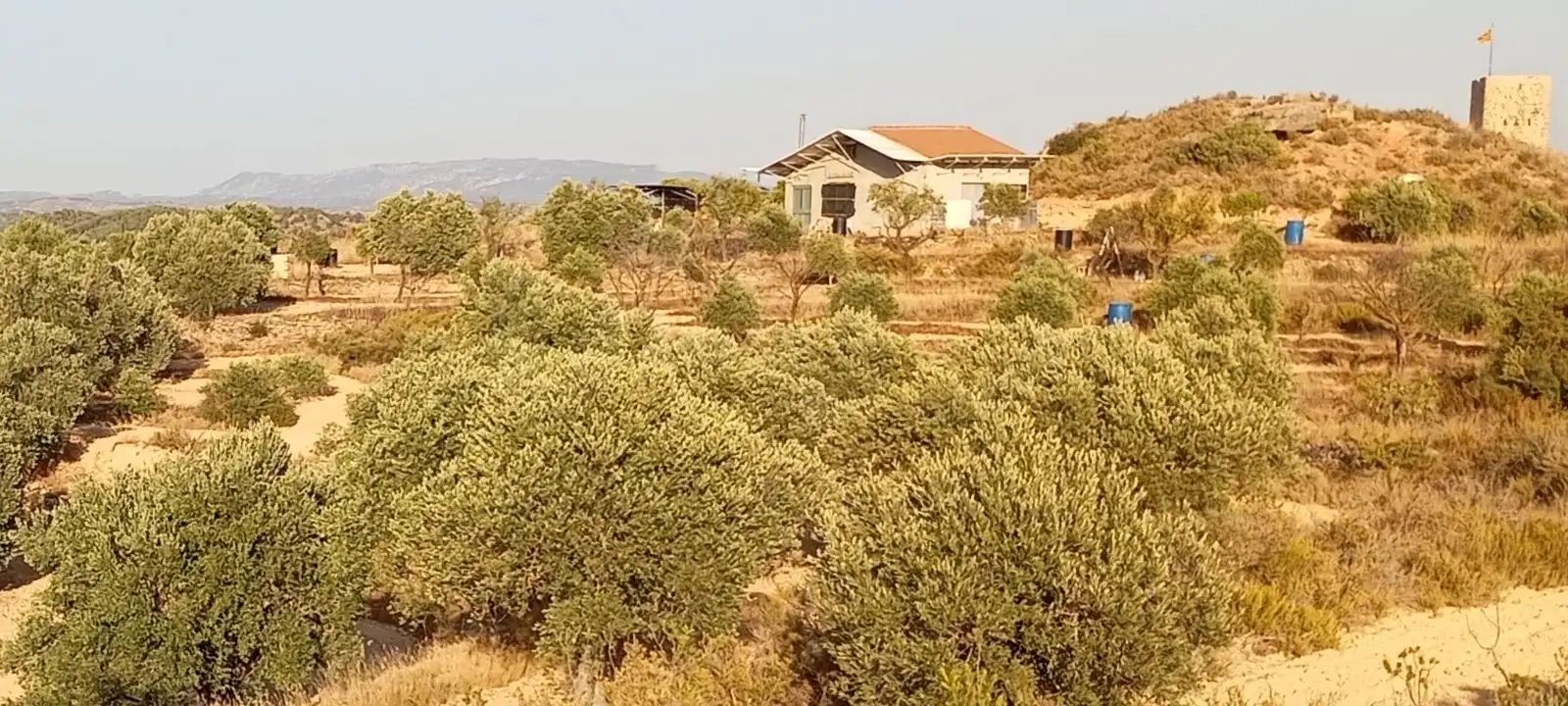 Terrain rustique à vendre à Riba-roja d'Ebre