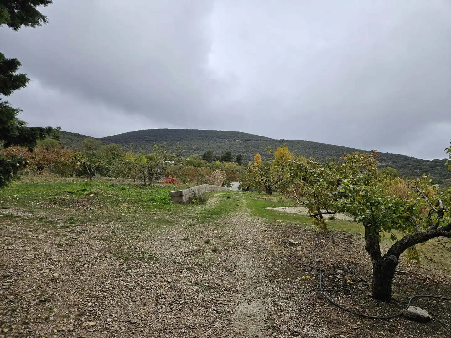 Finca rústica en venta en Torres con Jardín privado