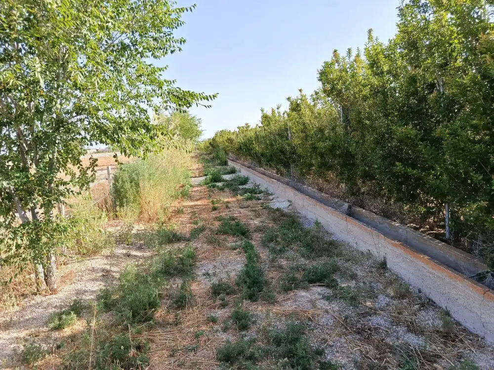 Piso en venta en Villena