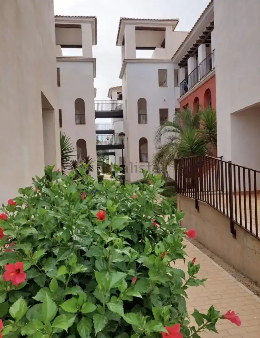Terrace of Flat for sale in Vera  with Air Conditioner, Private garden and Swimming Pool