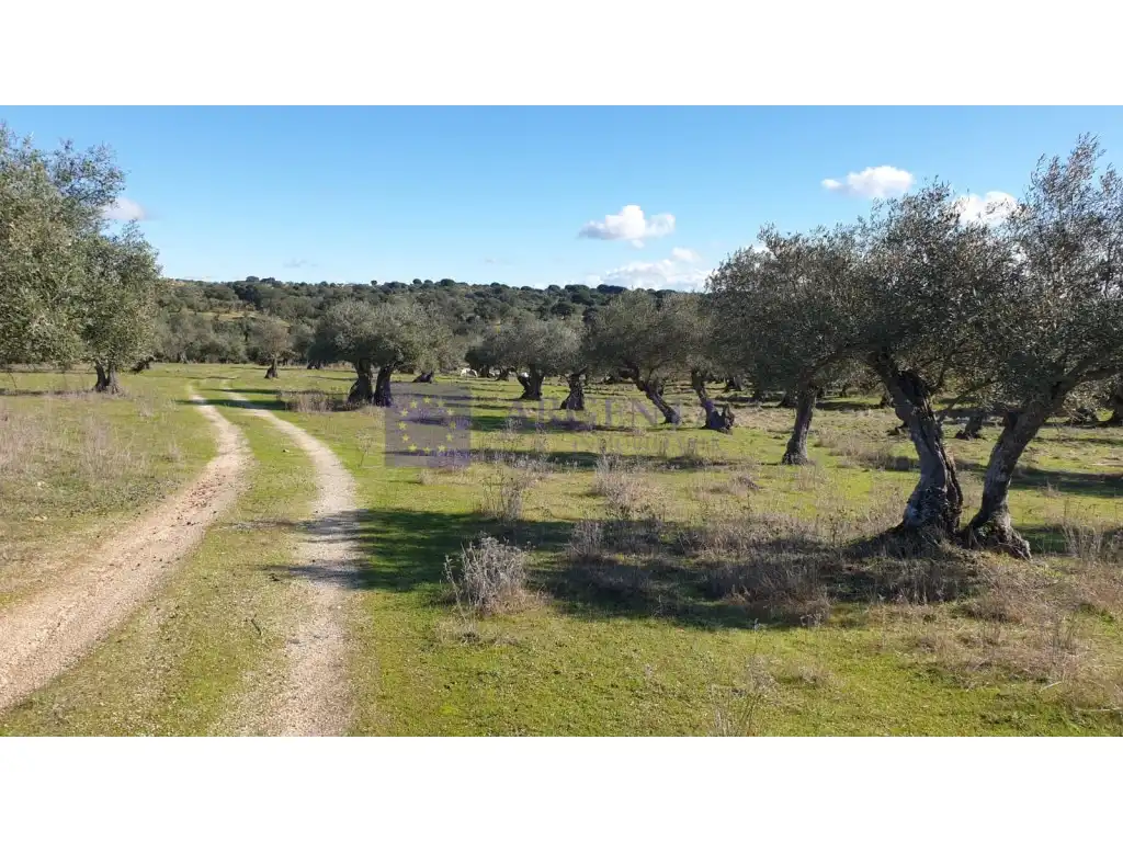 Houses for sale in Diseminados S Miguel, Alcántara