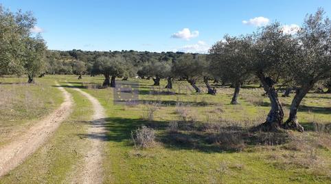 Photo 3 of House or chalet for sale in Diseminados S Miguel, Alcántara, Cáceres