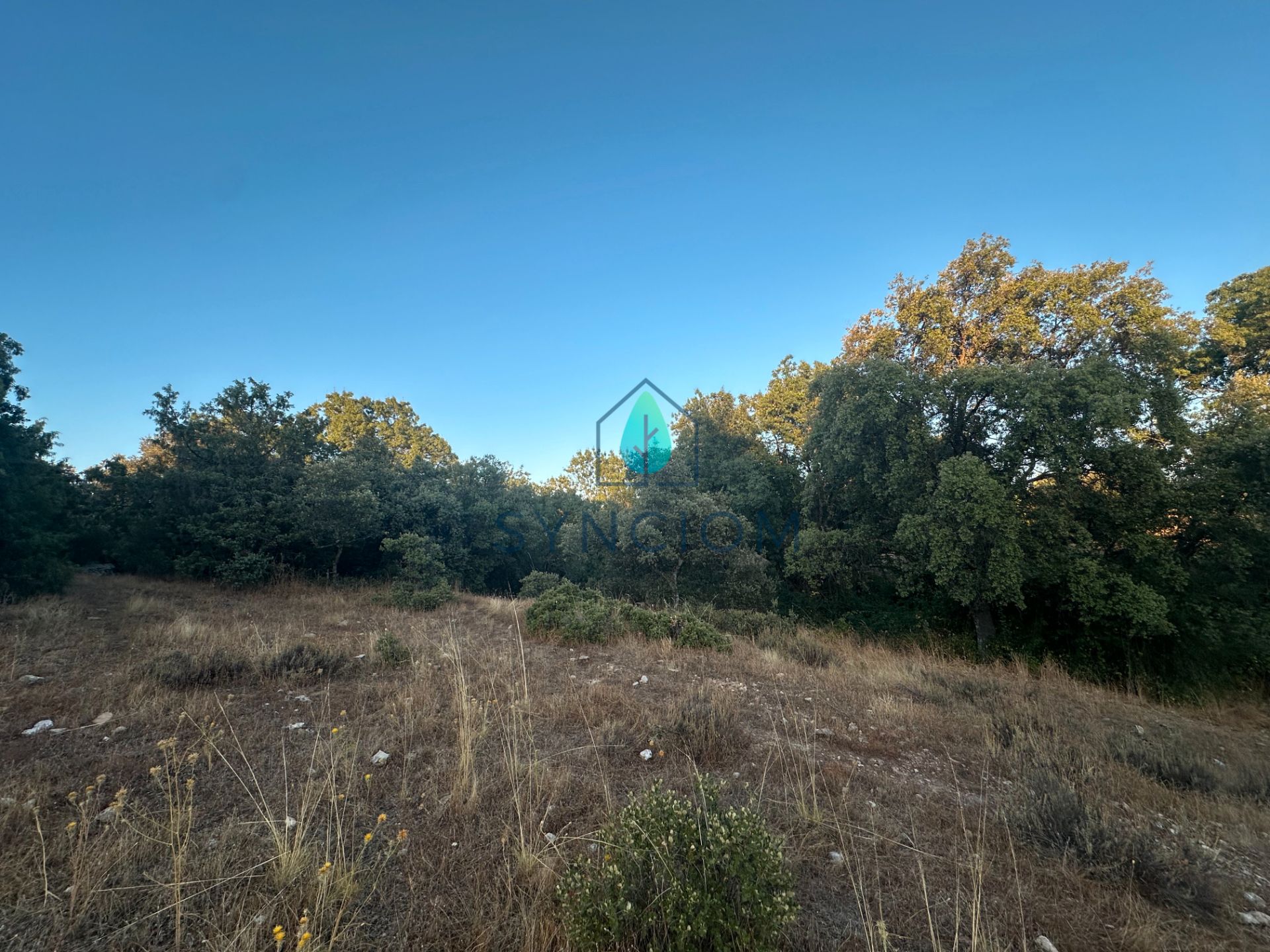 Land for sale in Fresnedillas de la Oliva