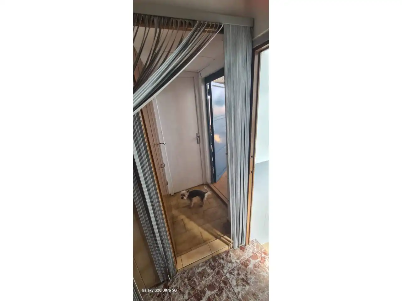 Casa o xalet en venda a Calle Vistabella, Ciutat del Transport - La Salera