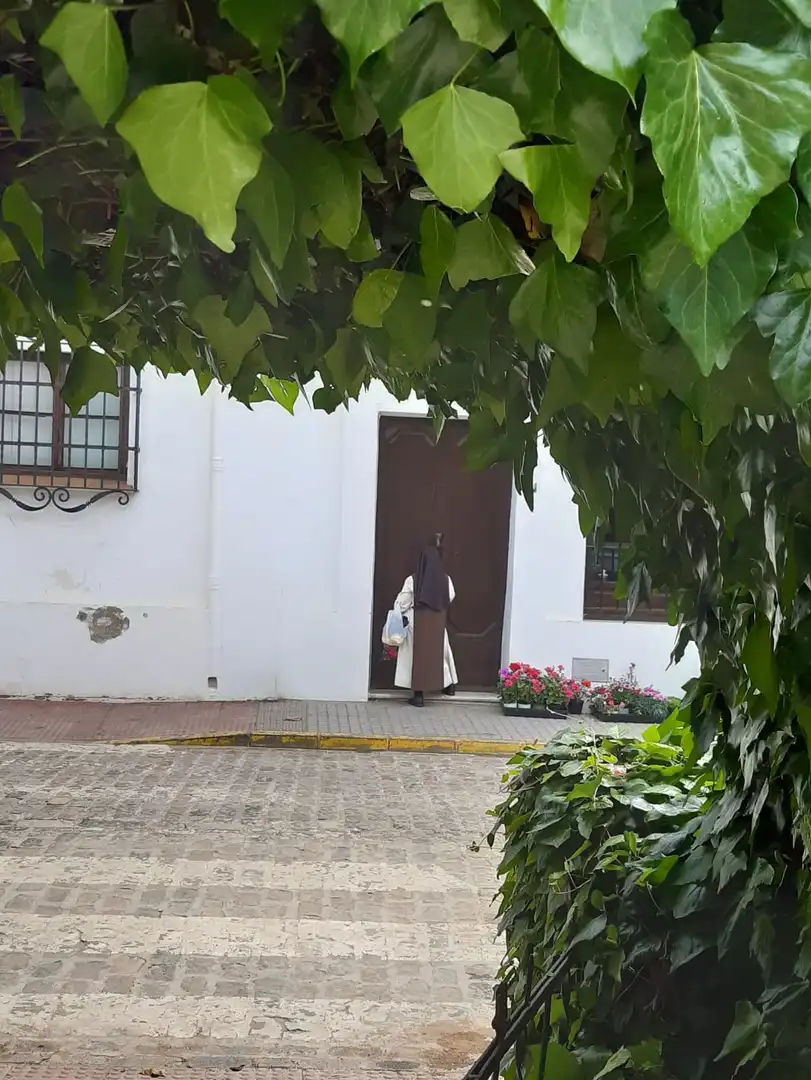 Exterior view of Buildings for sale in Constantina