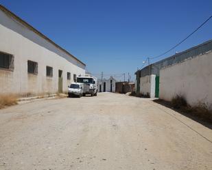 Exterior view of Industrial buildings for sale in Vélez-Málaga  with Alarm