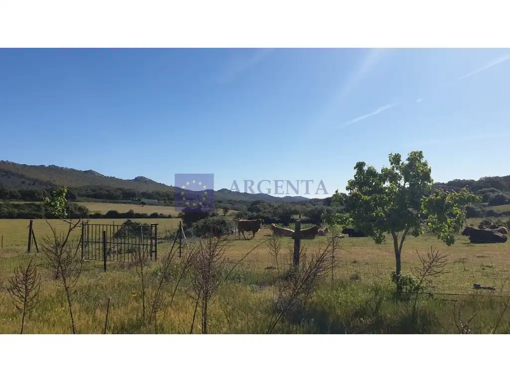 Houses for sale in Plaza Manuel De Falla, Zona Norte - Hospital - Urbanizaciones